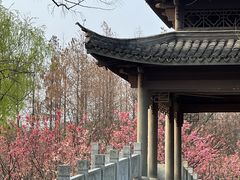 -梁鸿国家湿地公园