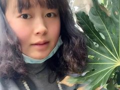 -林海公园