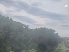 -旗岭森林公园