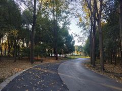 -东南大学(九龙湖校区)
