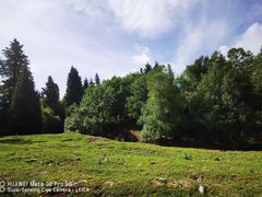 -新疆那拉提国家旅游度假区