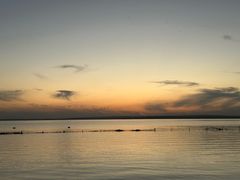 -红碱淖景区