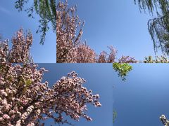 -海棠花溪(元大都城垣遗址公园)