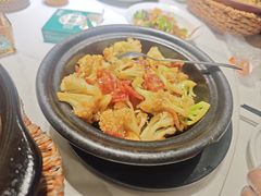 -鸽小宝(深圳首店)