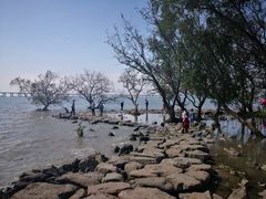 -宝安西湾红树林湿地公园