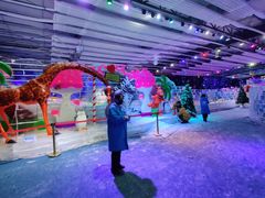 -宁波冰雪大世界(北仑区)