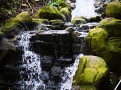 -吉隆坡雀鸟公园