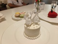 -BLACKSWAN黑天鹅(新希望店)