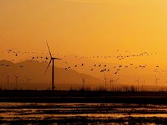 -野鸭湖国家湿地公园