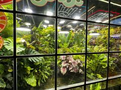 -凯德广场(学府店)