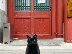 -北京石刻艺术博物馆(五塔寺)