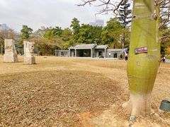 -四海公园(南山区)