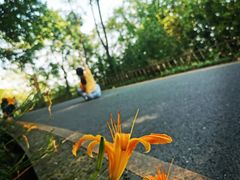 -南昌青山湖风景区