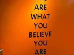 -健身专家Wellness Experts