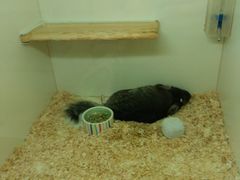 -龙猫仔乐园(惠福东路店)