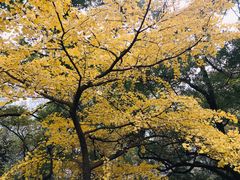 -汇龙潭