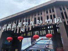 -青藏高原野生动物园