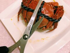-新光酒家·河豚·海鲜·蟹料理(浦东店)