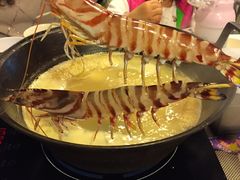 -鲜入围煮花胶鸡海鲜火锅