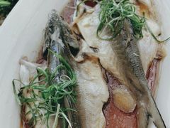 -莆田餐厅PUTIEN(颐堤港店)
