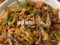 -白洋淀景区