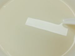 -阊门姚记豆浆(旧学前直营店)