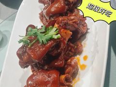-杨氏青龙虾·羊蝎子(托乐嘉店)