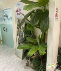 -健身堂科技美肌SPA