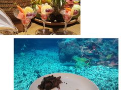 -海棠湾洲际-涛·海底餐厅·美人鱼·自助餐·海底隧道