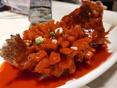 松鼠桂鱼-新梅华餐厅(星悦汇店)