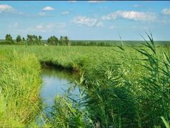 -白渔泡湿地公园