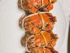 -新光酒家·河豚·海鲜·蟹料理(浦东店)