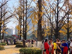 -百林公园-两江幸福广场