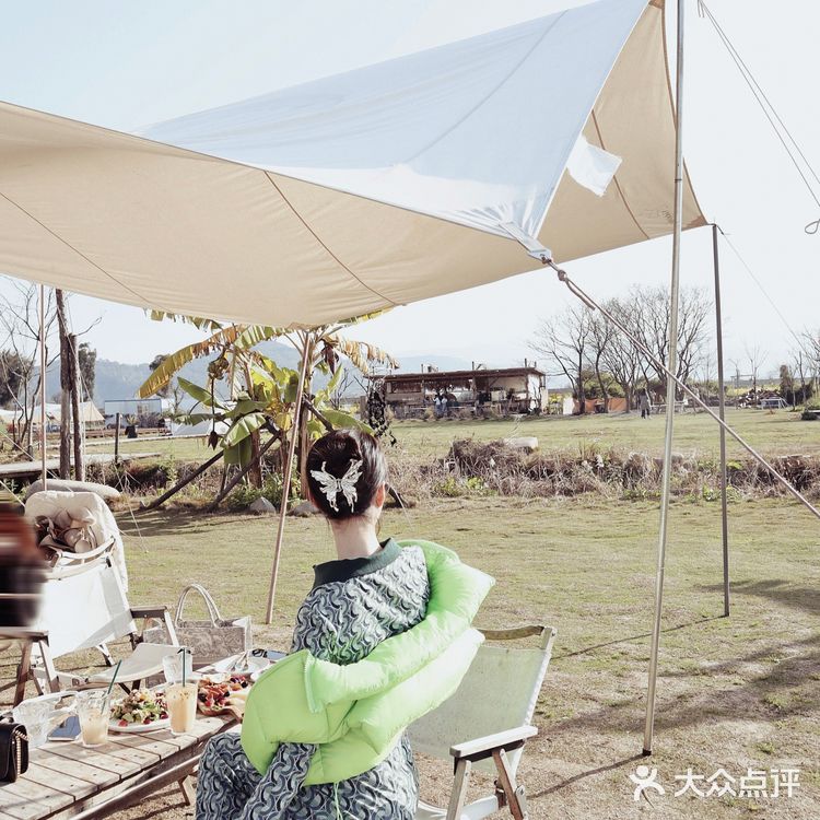 温州探店_鹭野星空大白熊野奢营地餐厅