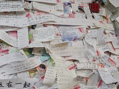 -沉香牛肉面