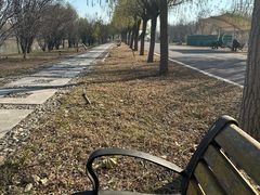 -武清南湖绿博园