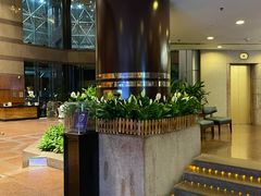 -上海新锦江大酒店