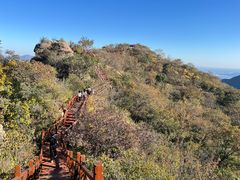 -大岭沟猕猴桃谷风景区
