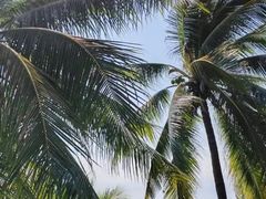 -亚龙湾中心广场