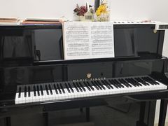 -刘健艺术钢琴学校·专注钢琴教育25周年(徐家汇校区)
