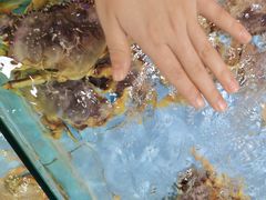 -快乐海鲜城(虎泉街店)