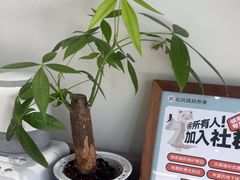 -长风拨筋养身(蟠龙天地店)