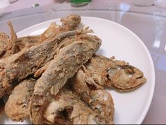 -东北菜冰城一家人