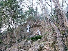 -上海佘山国家森林公园西佘山园