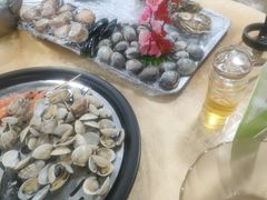 -渔文乐农庄