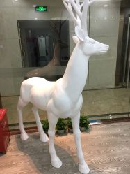 -时间海科学美容