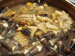 -阿山卓·野生菌火锅·纳西火塘烤肉