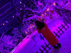 -圣名游乐城冰雪大世界