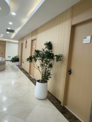 -上海伊莱美医疗美容医院