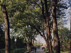-星海公园(番禺区)